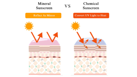 Sunscreen for Face how to choose the best one