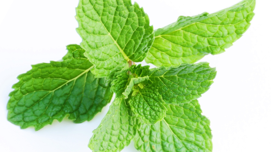 Ixora's Cosmos Organic Intensive Purifying Face Cleansing Gel for Oily Skin