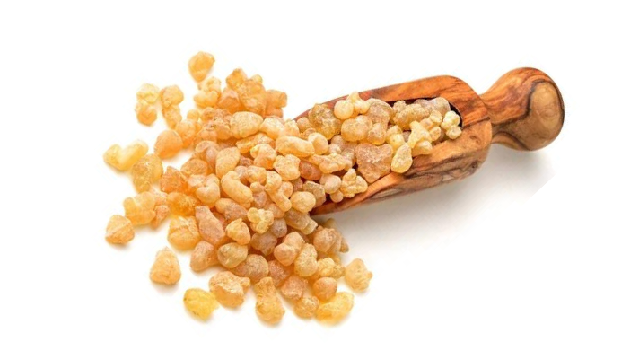 Frankincense ''The Liquid of Gold''