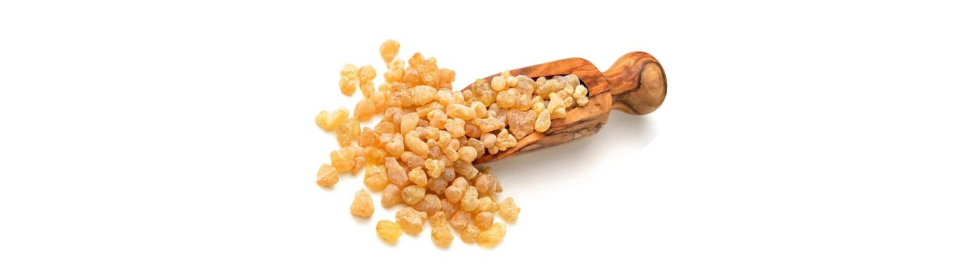 Frankincense ''The Liquid of Gold''