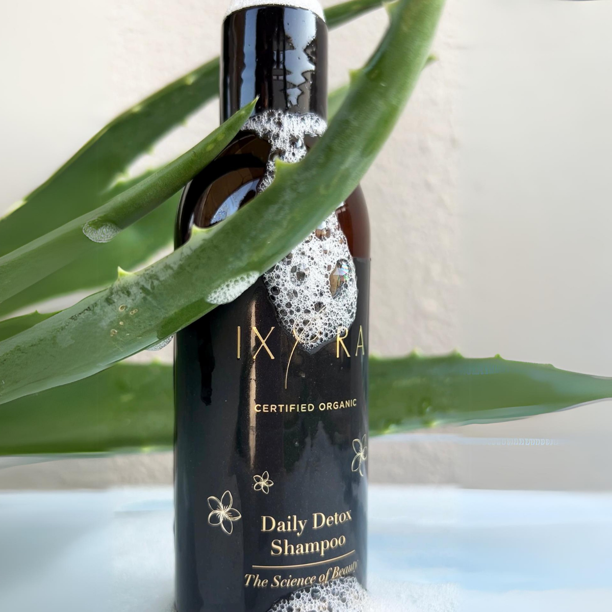 Daily Detox Shampoo Ixora Organic Beauty