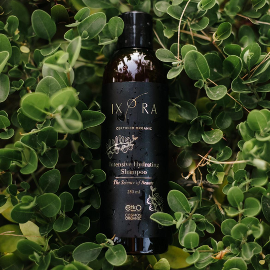 Copy of Ixora Intensive Hydrating Shampoo: Restores Hydration, Strengthens, and Prevents Hair Loss for Dry Scalp and Hair Ixora Organic Beauty