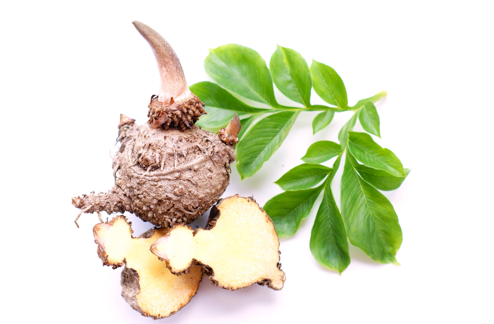 sunscreen-for-face-konjac-root