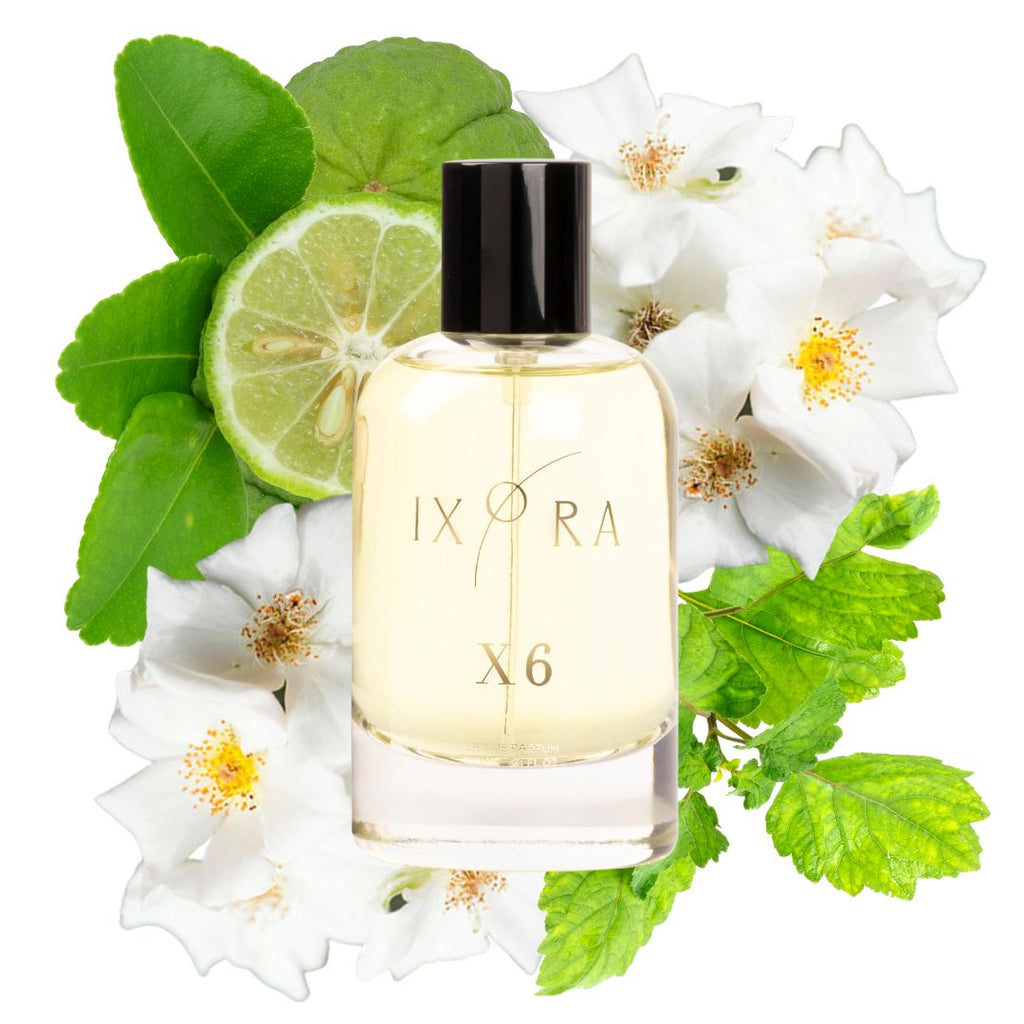 Ixora X6 Perfume Ixora Organic Beauty 